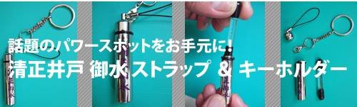 ������ˁ@�䐅�X�g���b�v���L�[�z���_�[